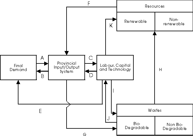 Flow diagram of the model